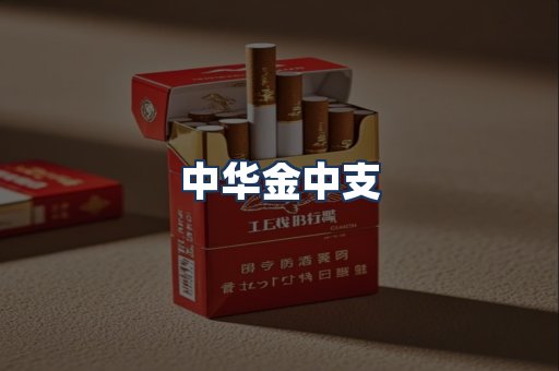 中华金中支